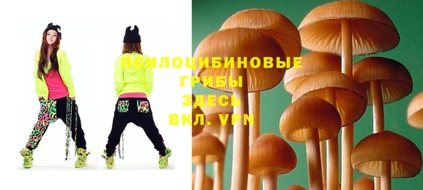 амф Покровск