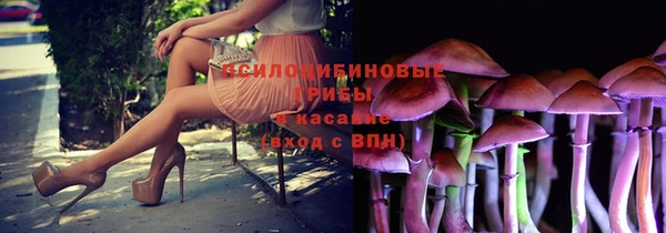 каннабис Аркадак